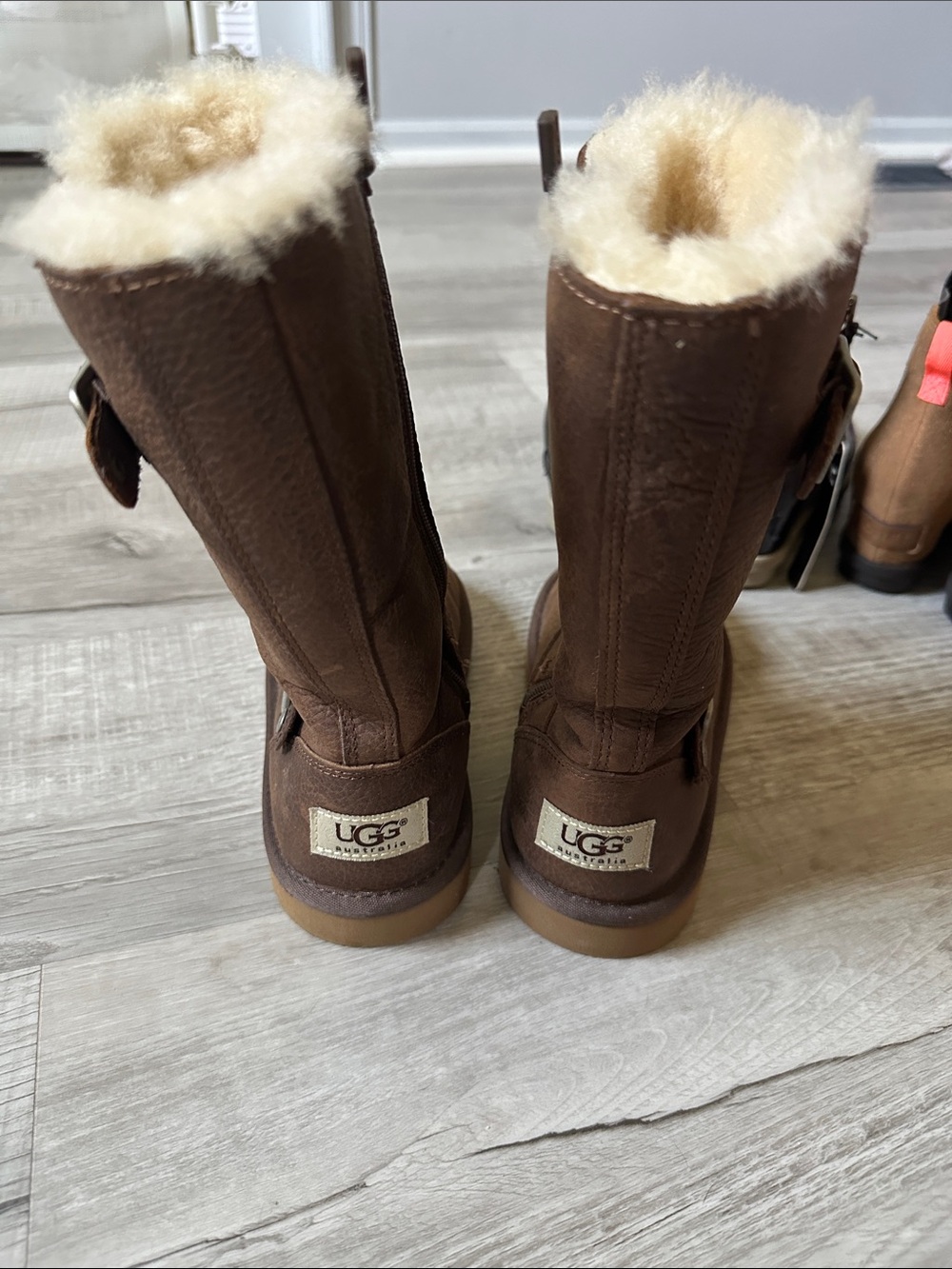 UGG Chestnut Shearling Tall Suede Boots